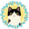 Comments avatar